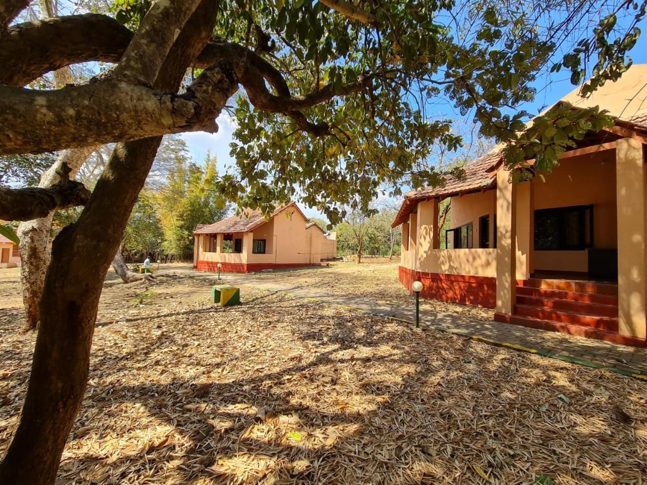 The Country Club Wildlife Resorts Bandipūr Zewnętrze zdjęcie